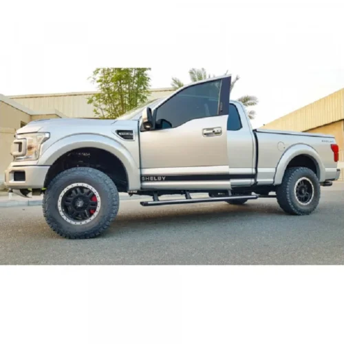 Ford F150 & Expedition 15-21 Power Steps